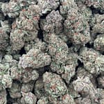 Girl Scout Cookies HHC Flower