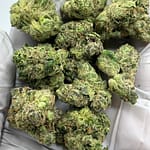 Gorilla Glue #4 THCa Flower