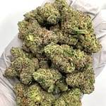 Pink Gummy Exotic THCa Flower