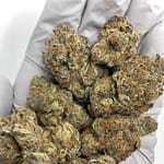 Sour Cherry Exotic THCa Flower