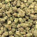 Super Boof THCa Flower