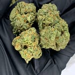 Super Sonic THCa Flower