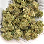 Bolo Runtz Exotic THCa Flower