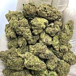 Elektra Ice THCA Flower