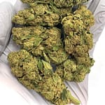 Hi-Octane Cookies THCa Flower