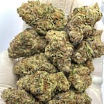 Milky Way Exotic THCA Flower