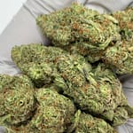 Piff Mintz THCa Flower