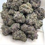 Purple Cream Exotic THCA Flower