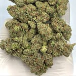 Rainbow Push Pop THCA Flower