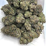 Shirley Temple THCA Flower