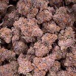 Sundae Driver THCa Flower