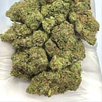 Tropicana Kush THCA Flower