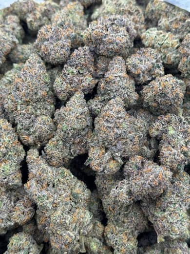 Bulk Blue Dream HHC Flower - Wholesale HHC Buds - High-Quality Cannabis