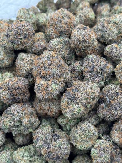 Gorilla Glue HHC Flower Bulk - Wholesale HHC Buds - High-Quality Cannabis
