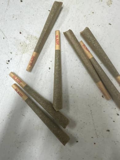 1 Gram THCa Prerolls - Pre-Rolled for a Convenient and Potent Cannabis Experience