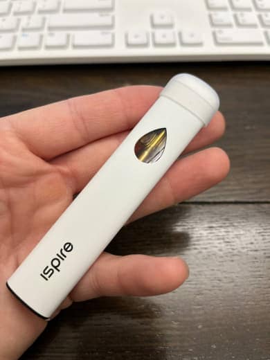 2g THCA Disposables - Double the Size for a Potent Cannabis Vaping Experience