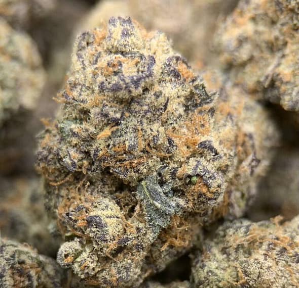 Amaretto Exotic THCa Flower with dense, frosty buds and a sweet, nutty aroma Amaretto Exotic THCa Flower with dense, frosty buds and a sweet, nutty aroma
