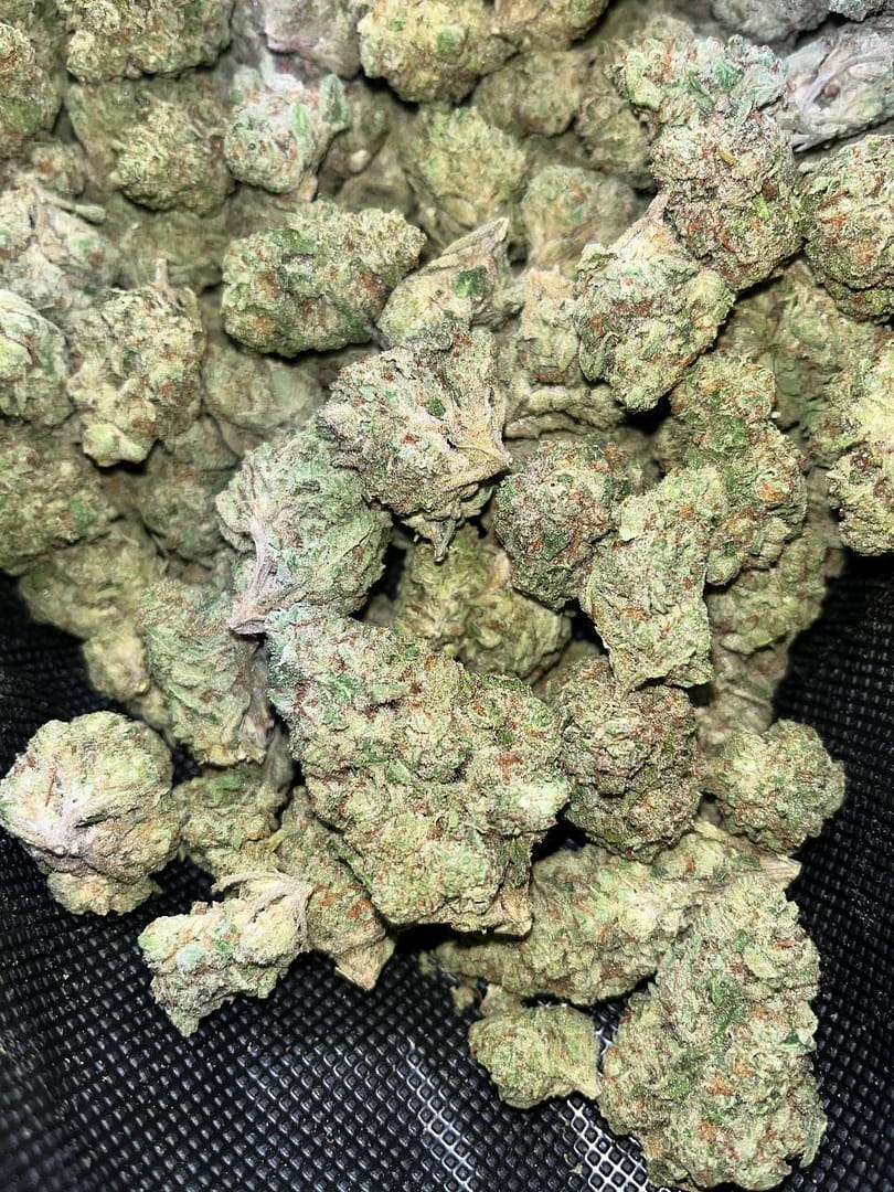 G41 Indoor THCa 2 Cannabis Flower