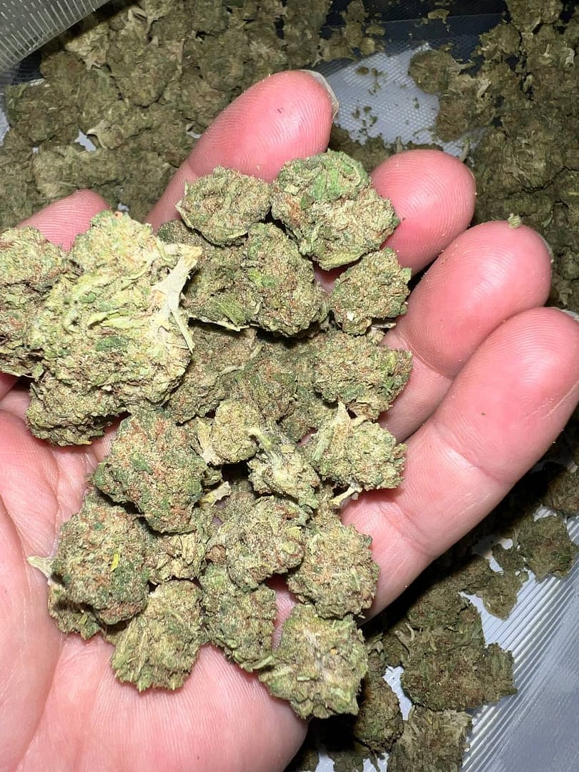 Sour Death THCA Cryo