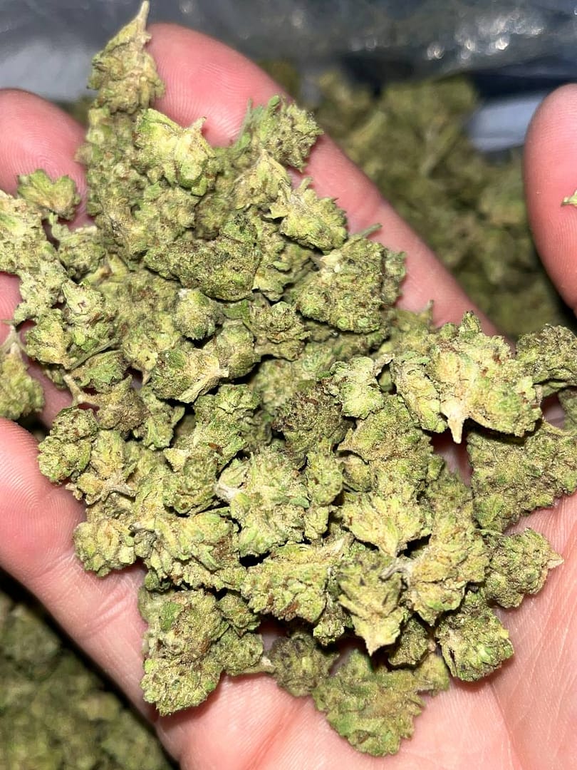 Sunday Driver Smalls THCA