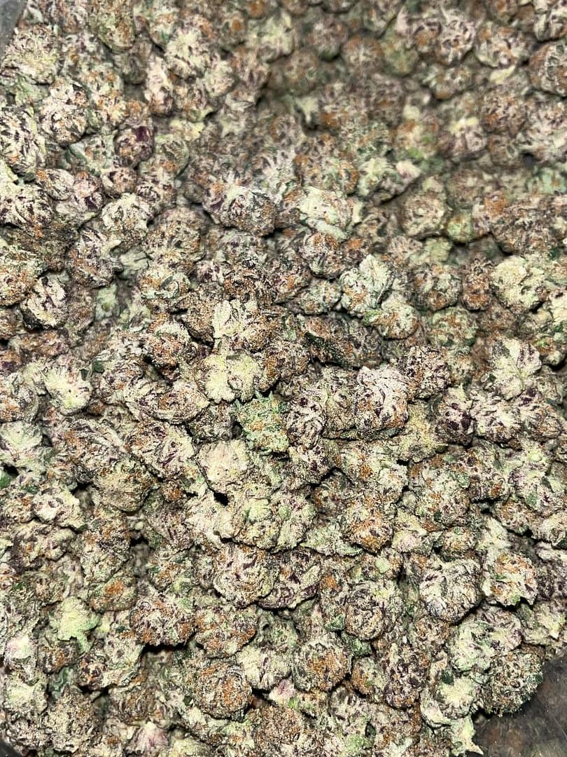 Tropical Punch THCa Smalls 2 Buy Tropical Punch Smalls