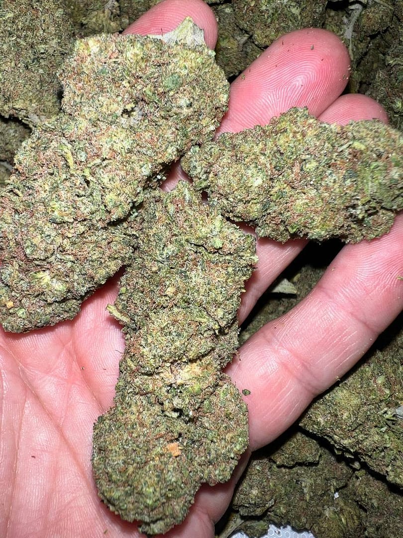 Tsunami OG THCA Cryo