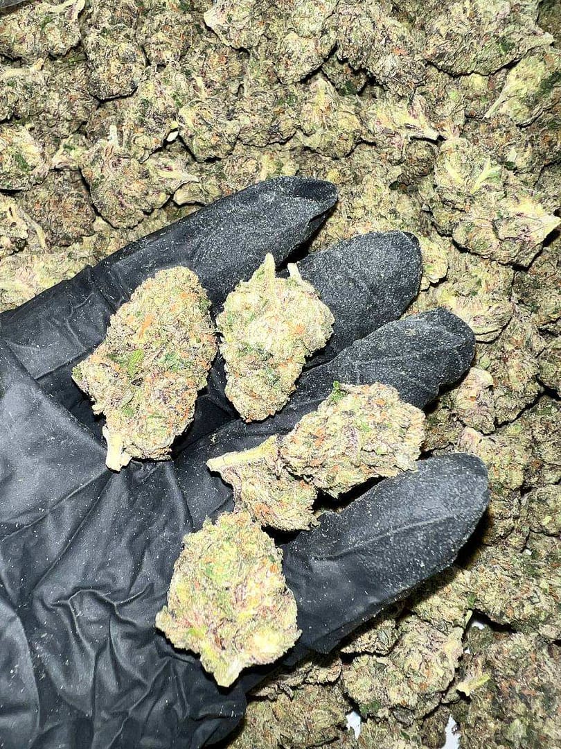 Runtz Indoor THCa Flower 2 Runtz Indoor THCA