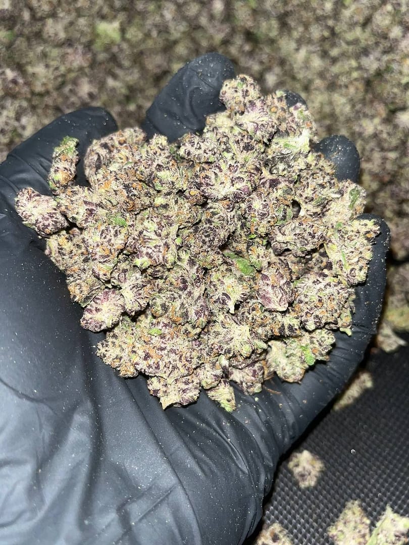 Tropicana Smalls Ecxotic THCA