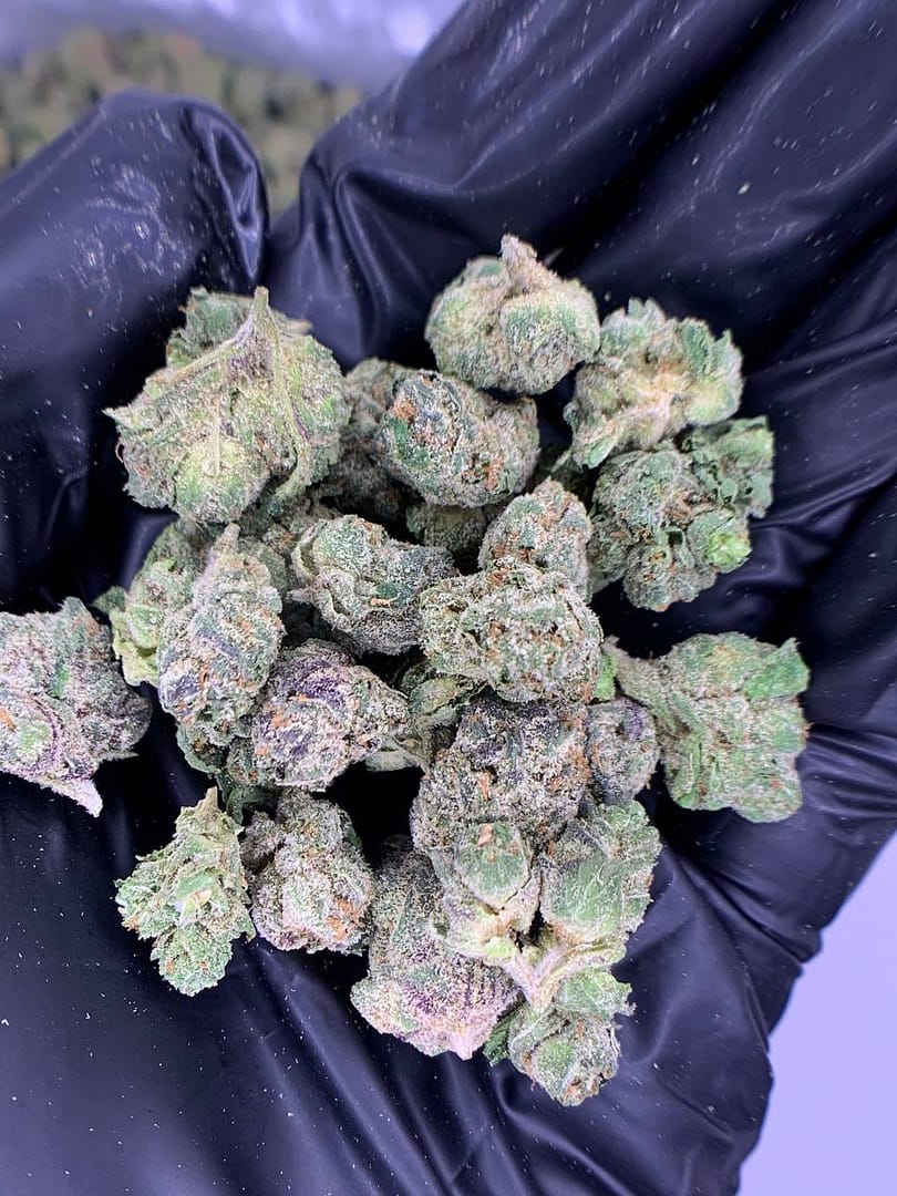 Home 13 Codeine Cupz THCa Flower - Closeup of High-THCa Cannabis Buds