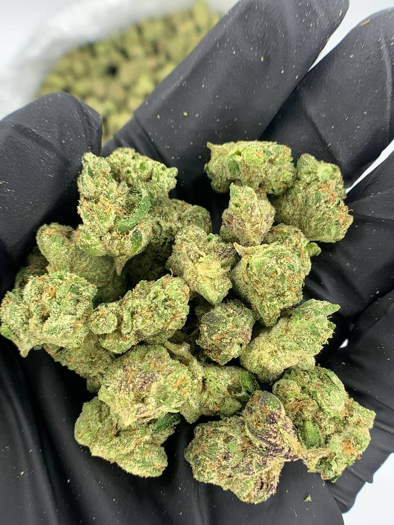 Donny Burger THCa Flower is a potent and effective cannabis strain that boasts high levels of THCa, making it perfect for wholesale buyers looking for a high-quality product
