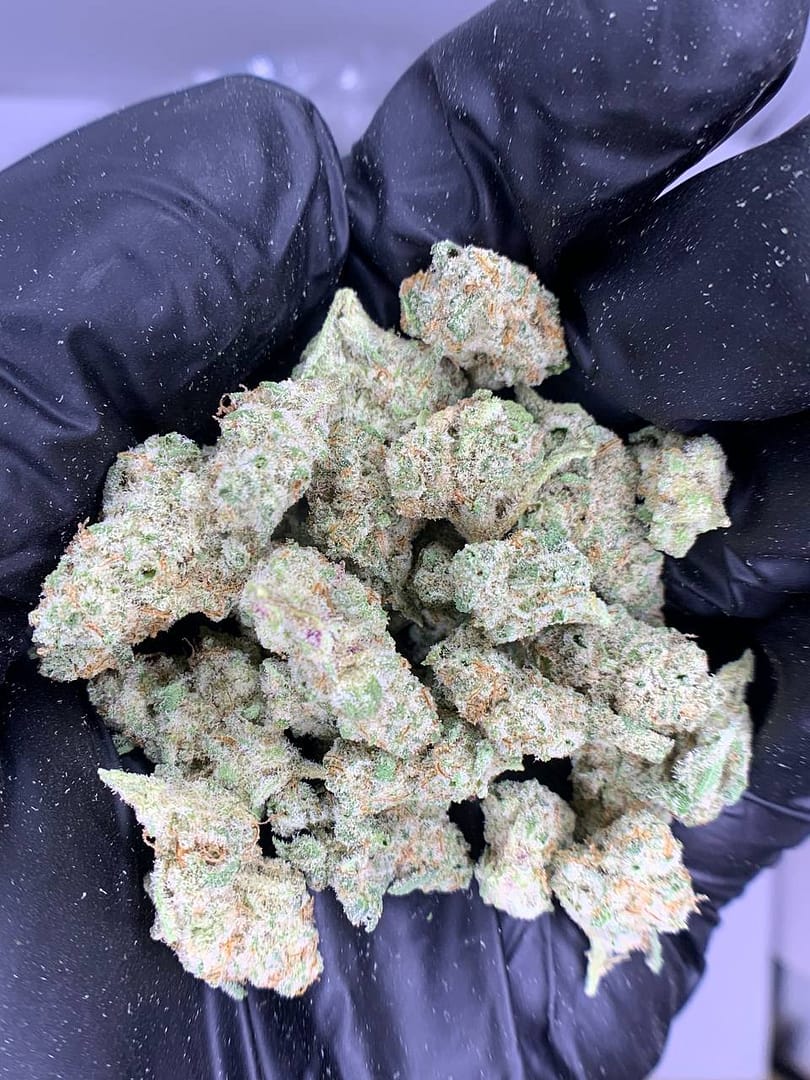 Home 19 MAC THCa Flower - Closeup of High-THCa Cannabis Buds