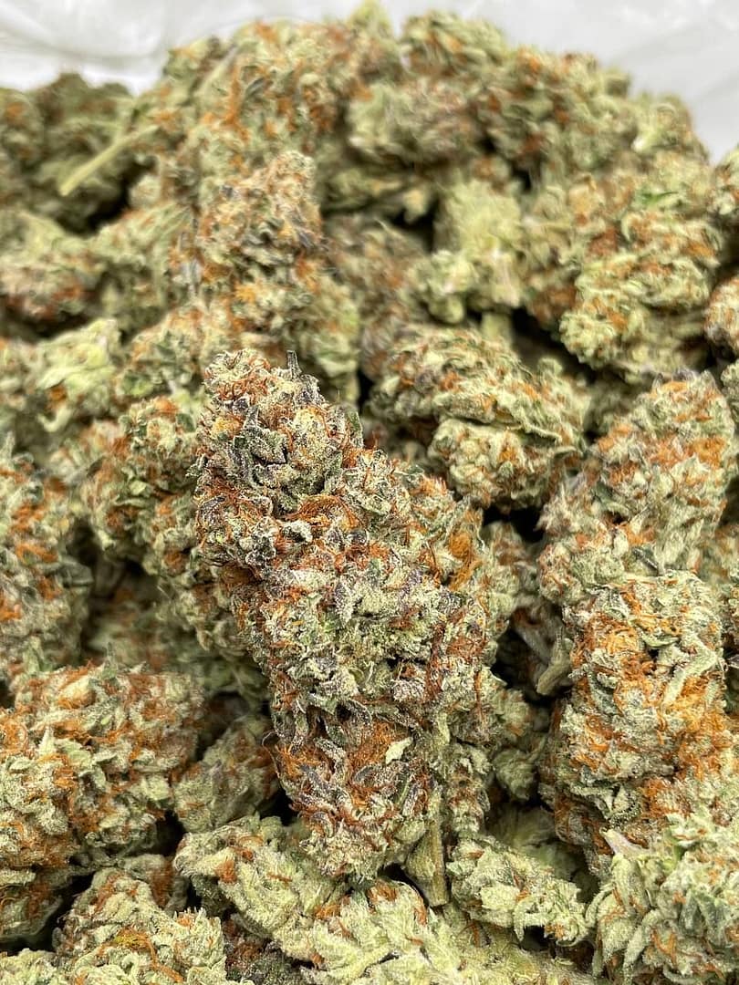 Home 16 Sherblatto THCa Flower