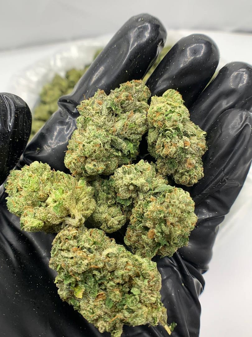 Candy Glue THCa Flower 3 Buy Candy Glue THCa Flower in bulk and offer your customers a sweet and fruity flavor experience. 29.1% THCa,