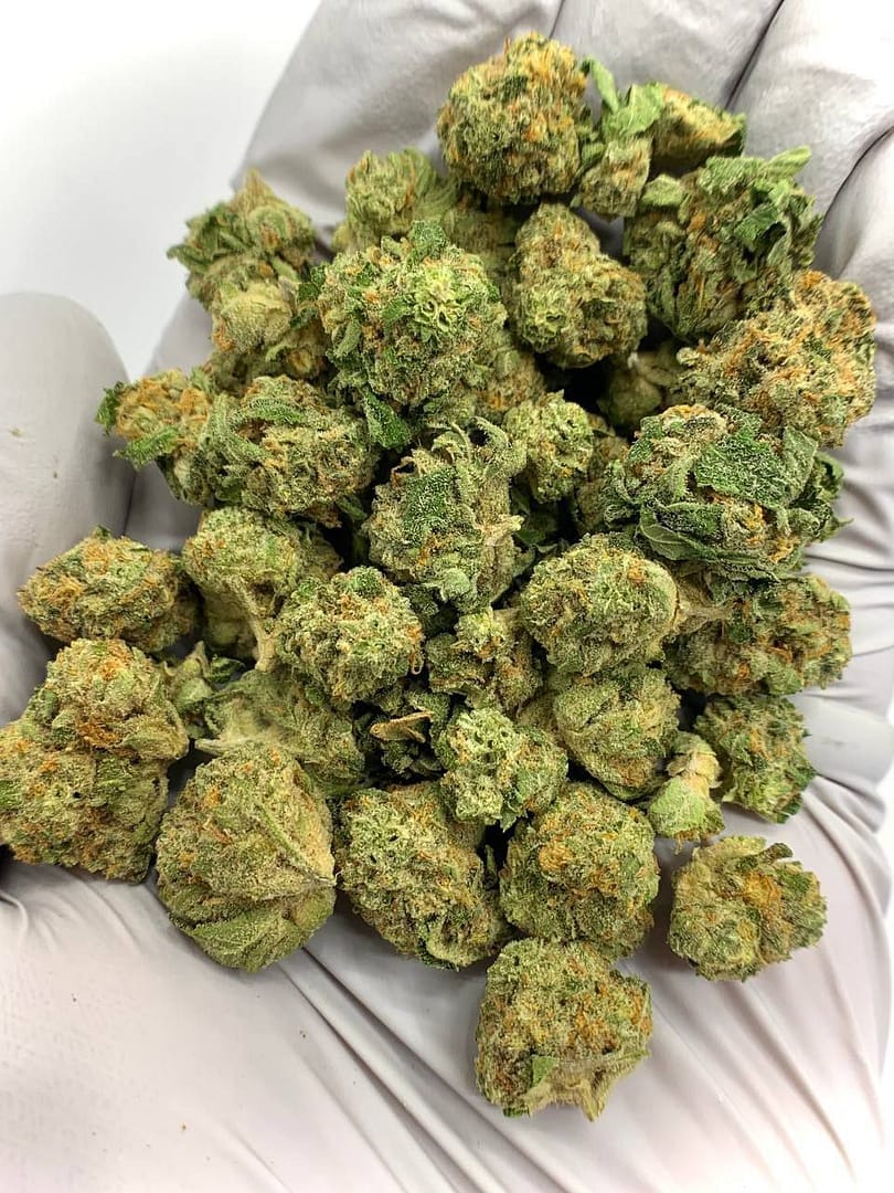 Bubble Bath THCa Flower for Bulk Wholesale Purchase