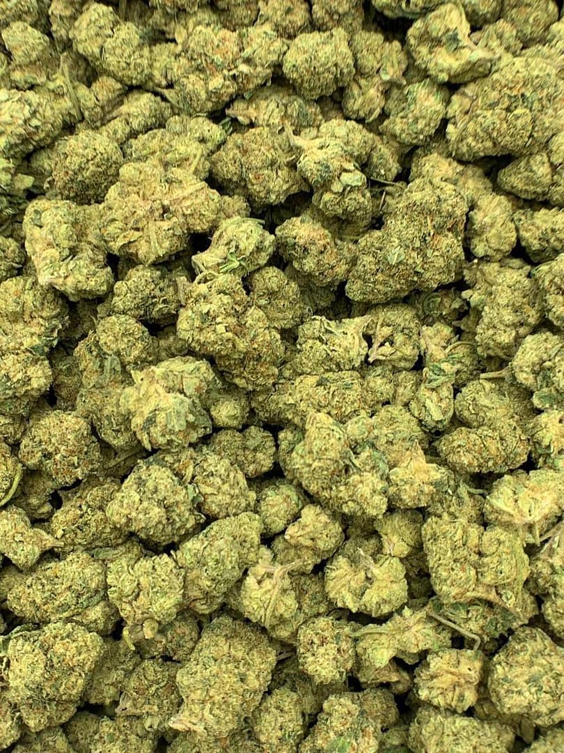 Grandi Guava THCa Flower buds on a white background, showcasing vibrant, colorful nugs with a sweet, tropical aroma