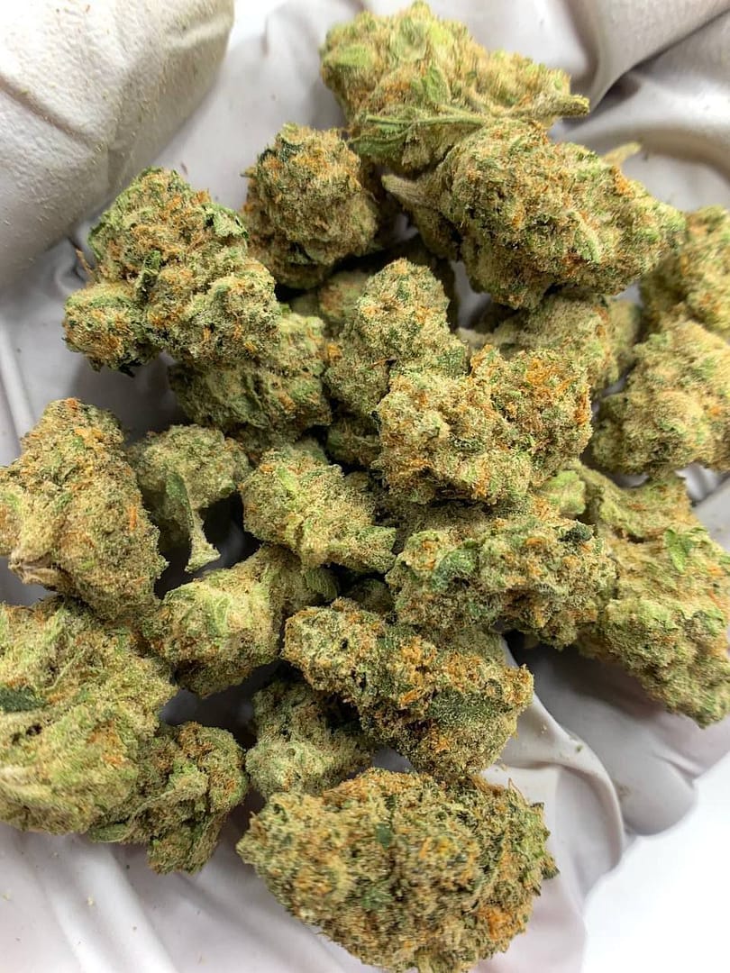 Honey Buns Exotic THCa Flower buds on a white background, showcasing dense, frosty nugs with a sweet aroma