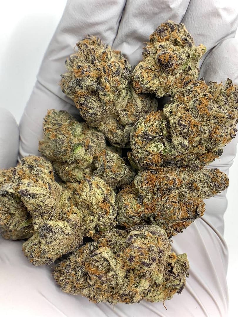 Sour Cherry Exotic THCa Flower with vibrant, resin-coated buds and a sweet, tangy aroma