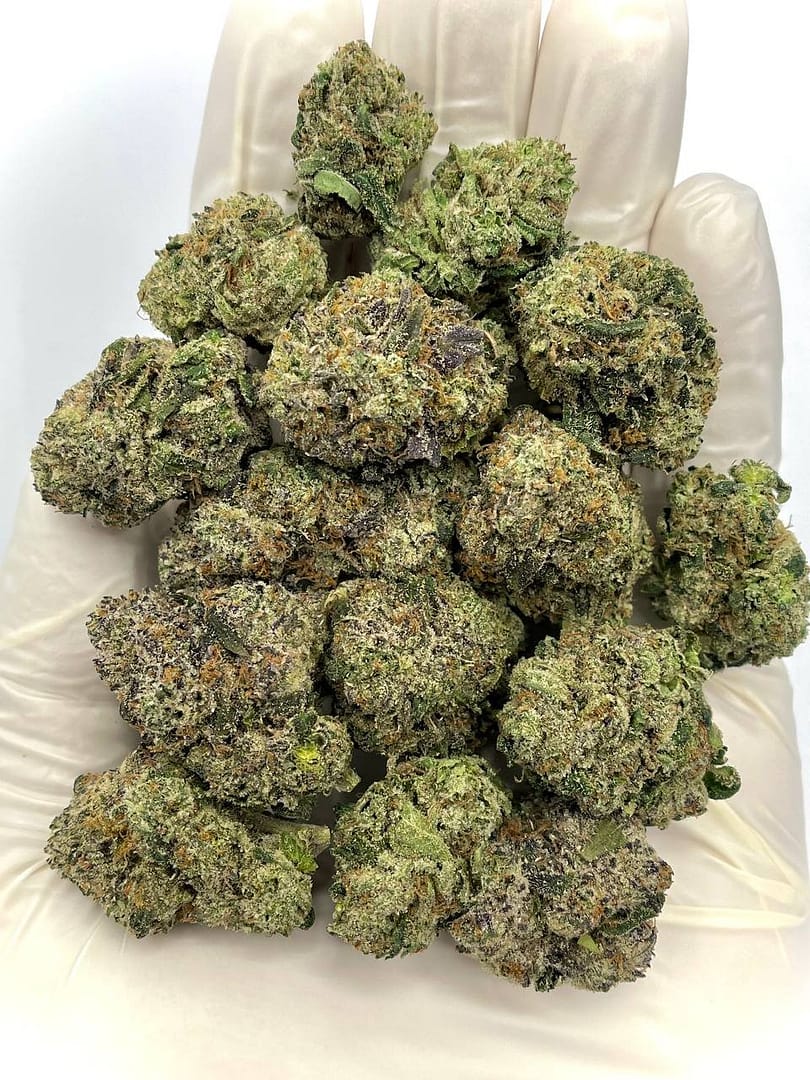 Razzmatazz Runtz THCA Flower - Sweet Berry-Flavored Hybrid Cannabis