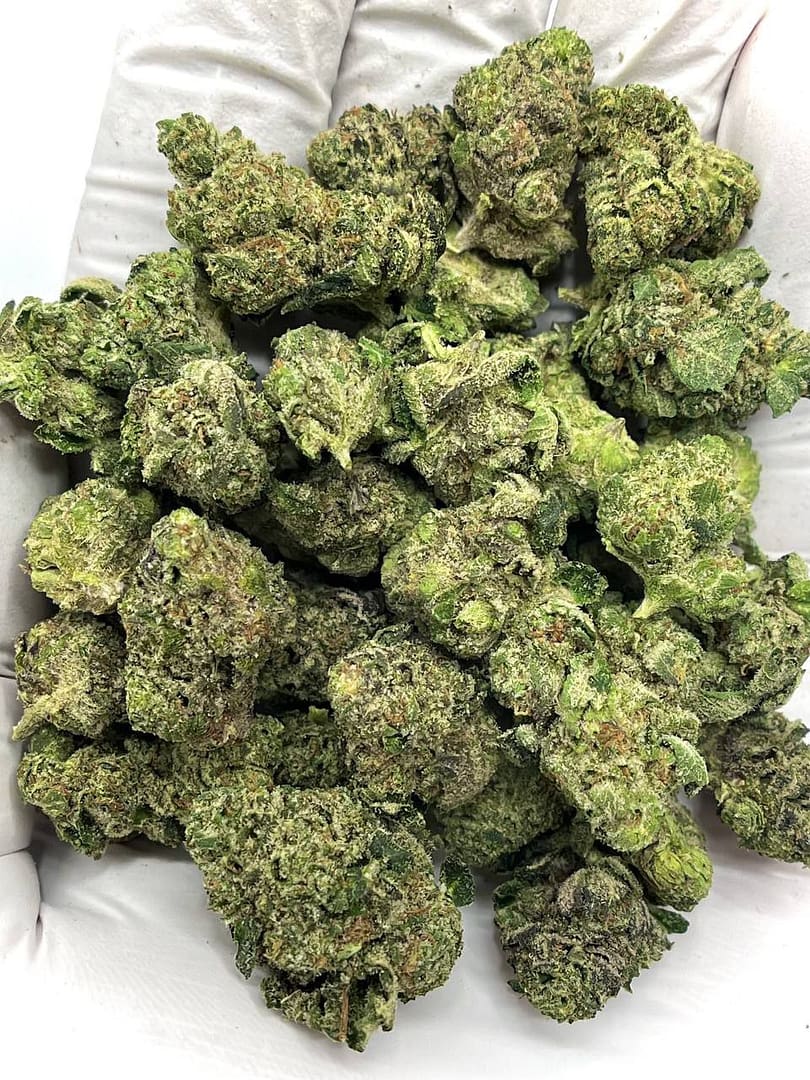 Home 3 Blue Zushi THCA Flower, premium wholesale cannabis strain