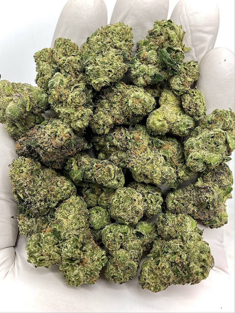 Home 7 Bulk Spooky Runtz THCA Flower with over 30% THCA, compliant THC content for wholesale