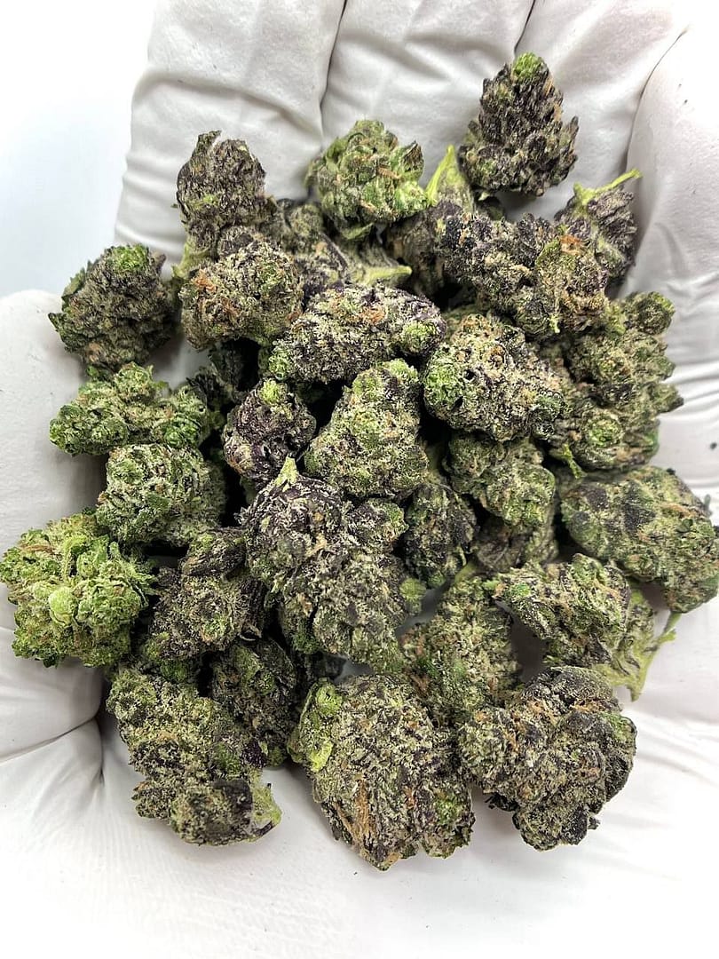 Home 6 Premium Grape Gelato THCA Flower wholesale, aromatic and potent buds