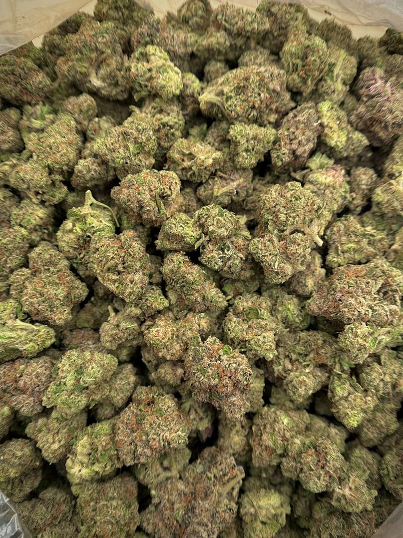 Girl Crush THCA Flower 2 Girl Crush THCA Flower premium bulk flower for wholesale