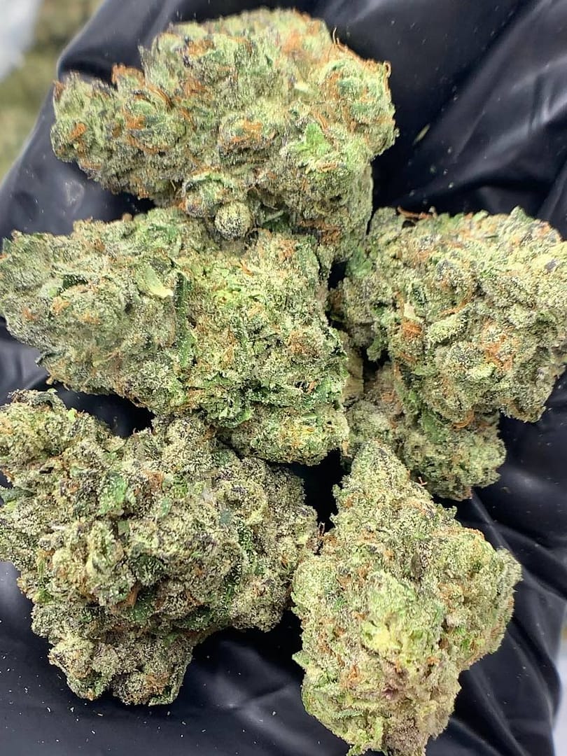 Purple Nitro THCa Flower