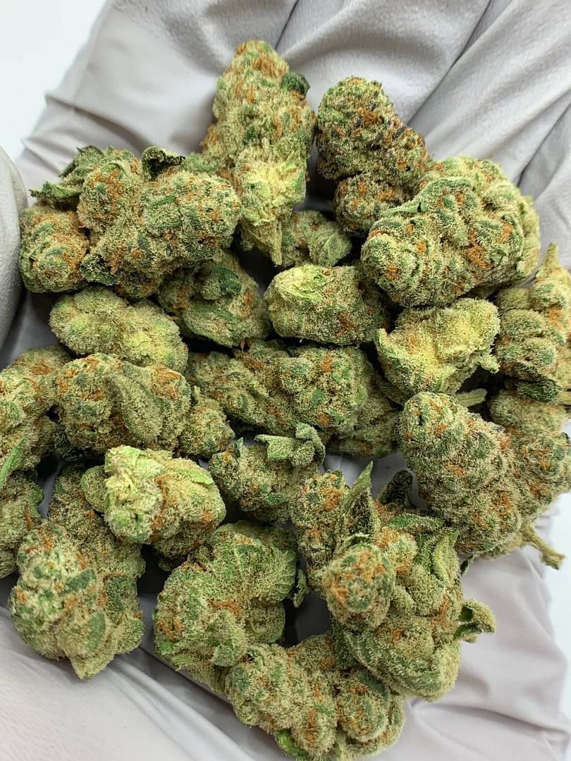 Glitter Bomb Exotic THCa Flower