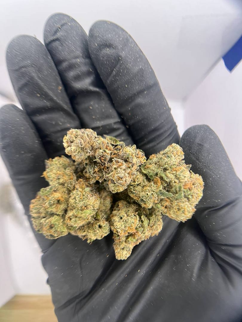 Home 20 Blue Skittlez THCa