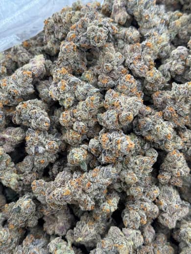 Green Crack HHC Flower Wholesale - Bulk HHC Buds - High-Quality Cannabis