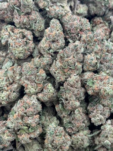 Pineapple Express HHC Flower - Wholesale HHC Buds - High-Quality Cannabis