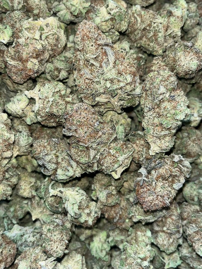 Blueberry Muffins THCa 2 Blueberry Muffins THCA