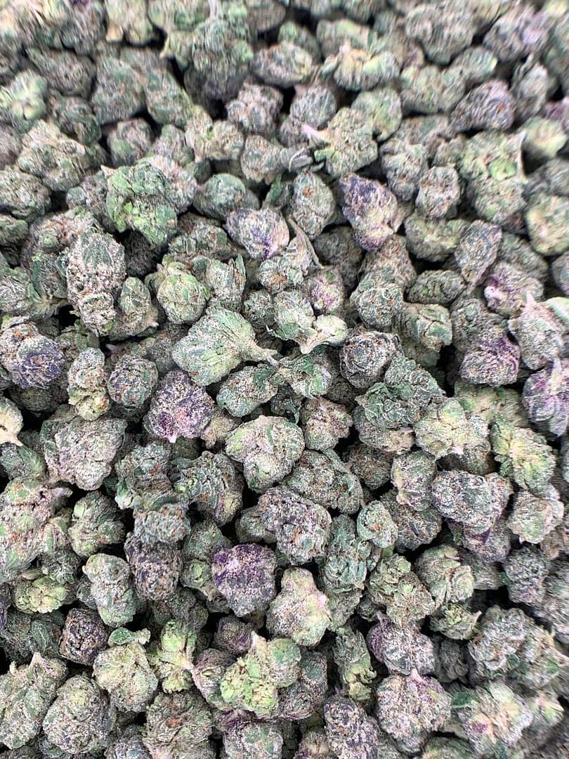 Codeine Cupz THCa Flower 2 Codeine Cupz THCa Flower - High-Potency Cannabis Strain for Wholesale