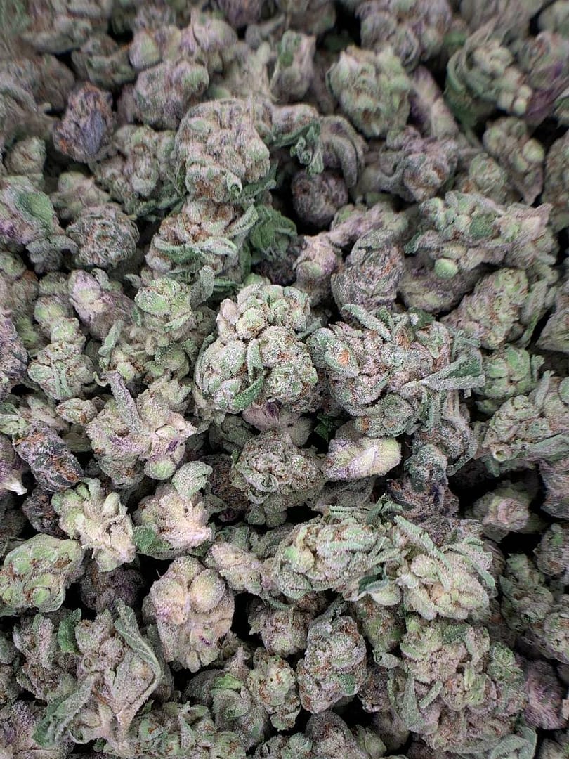 Lions Cake THCa Flower 2 Lions Cake THCa Flower - High-Potency Cannabis Strain for Wholesale Buyers